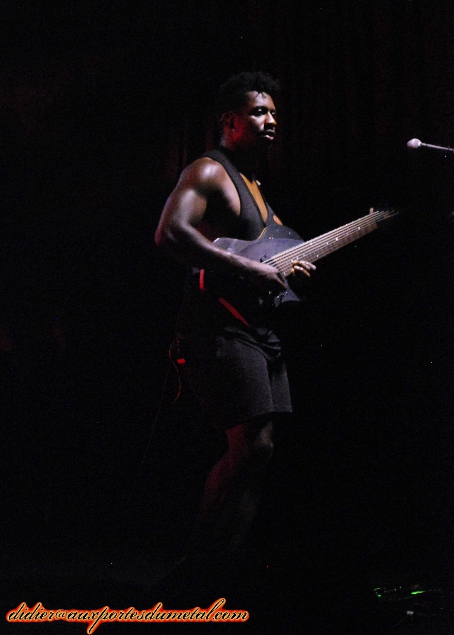 AnimalsAsLeaders-Rats2016