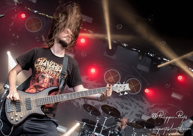 Ingested-Motocultor2018-1.jpg