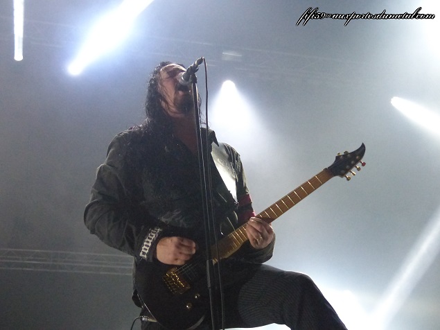 Evergrey1ppm