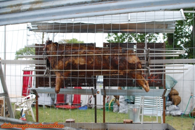 Hellfest2012-Ambiance