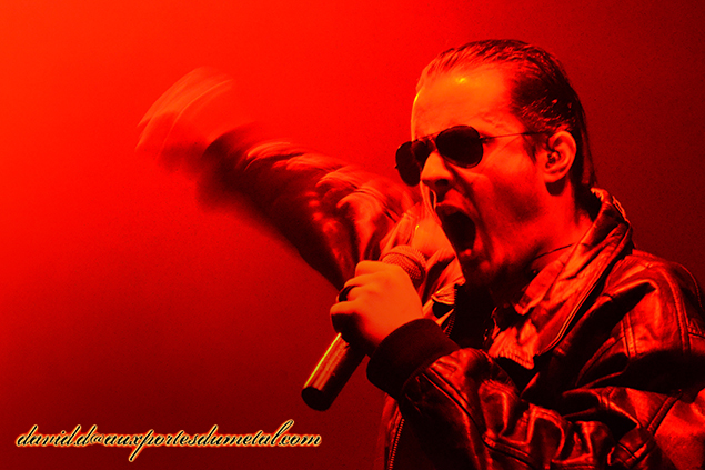 Koritni - Lille - 2013