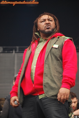 Skindred Hellfest 2013