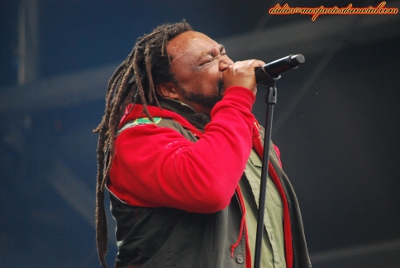 Skindred Hellfest 2013